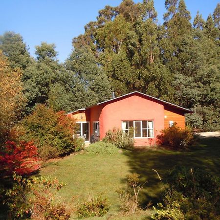 Whispering Spirit Holiday Cottages & Mini Ponies Franklin Exteriör bild