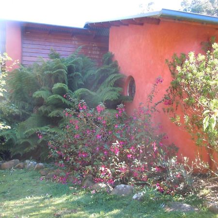 Whispering Spirit Holiday Cottages & Mini Ponies Franklin Exteriör bild