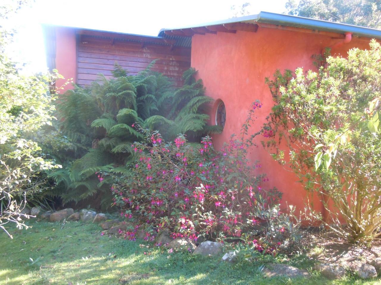 Whispering Spirit Holiday Cottages & Mini Ponies Franklin Exteriör bild