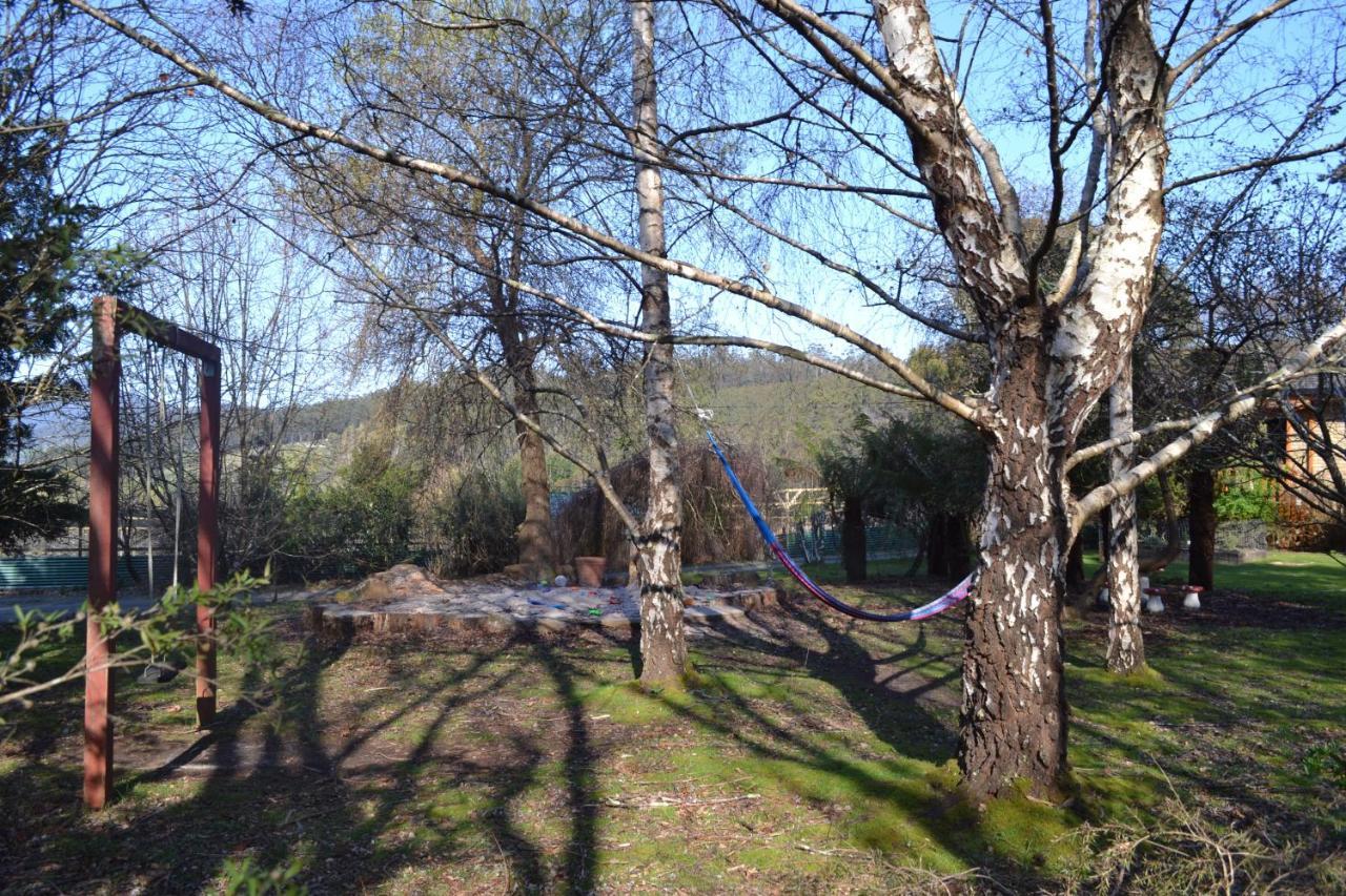 Whispering Spirit Holiday Cottages & Mini Ponies Franklin Exteriör bild